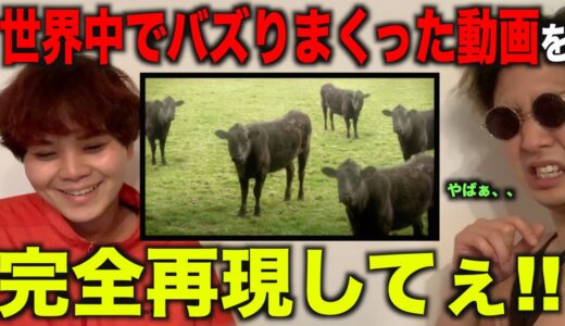 【大バズり】世界中でバズりまくったあの動画を完全再現したい！！！