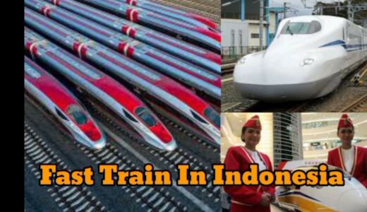 FAST TRAIN IN INDONESIA EDM ROFU BEDJO