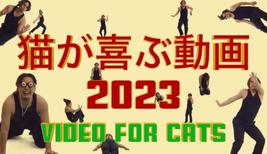 猫が喜ぶ動画2023【作業用・癒し・勉強】